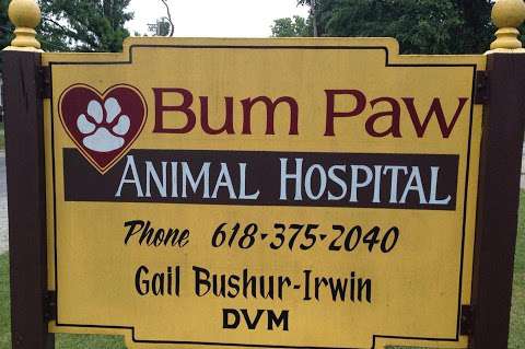 Bum Paw Animal Hospital